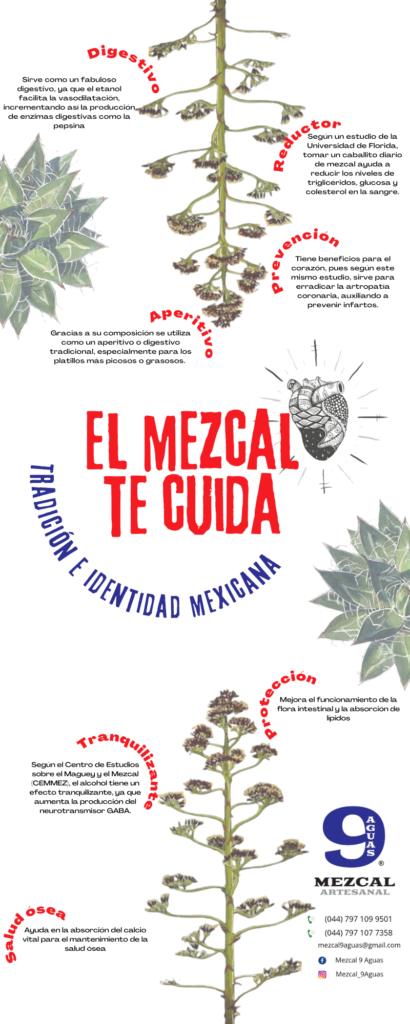 Beneficios del mezcal